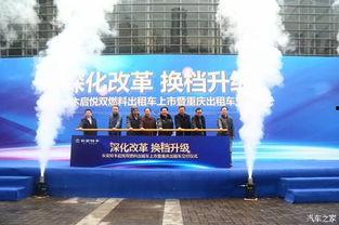 华丽计程车行,穿梭都市的优雅使者