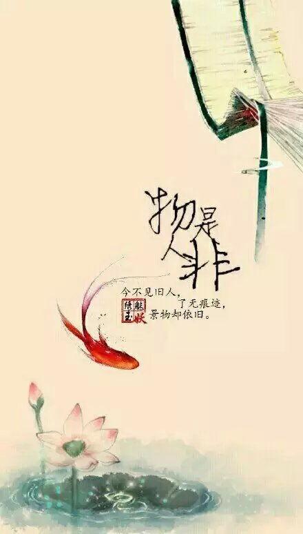 物是人非事事休