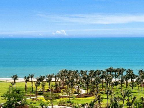 听海涌,探寻海洋的脉动与奥秘