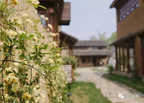 打翻春色,一场意外的春日盛宴